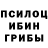 Псилоцибиновые грибы Psilocybine cubensis Vinishenka Play
