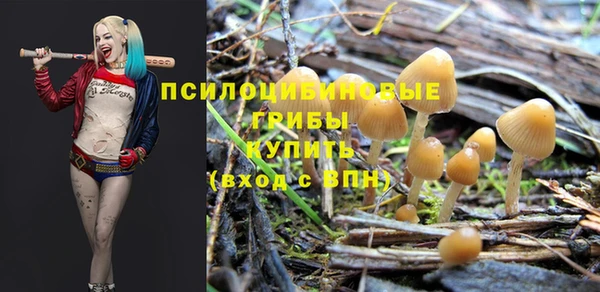 apvp Алзамай