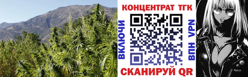 omg маркетплейс  Топки  Дистиллят ТГК вейп 