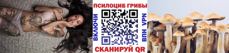 купить   Топки  Галлюциногенные грибы мицелий 